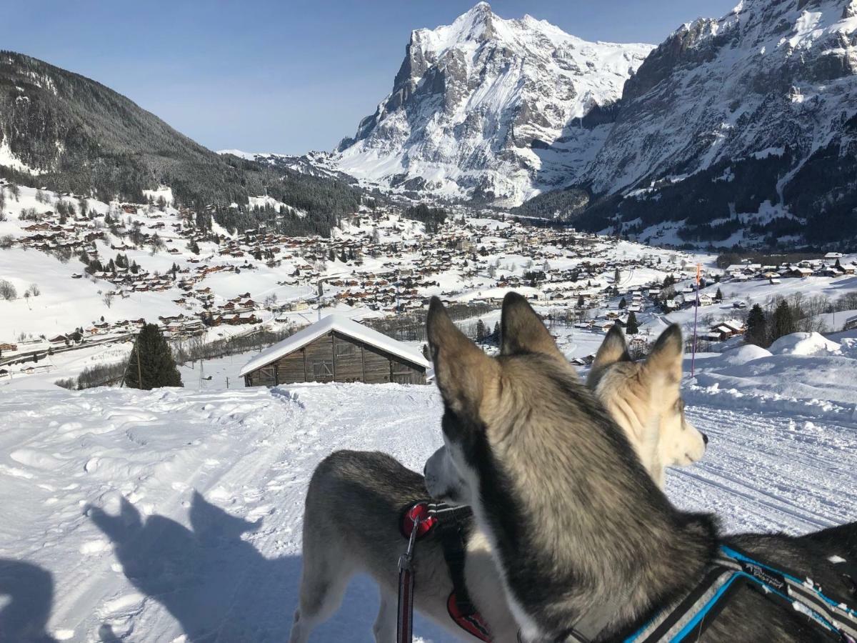 Chalet Carve - Apartments Eiger, Moench And Jungfrau Grindelwald Exterior photo