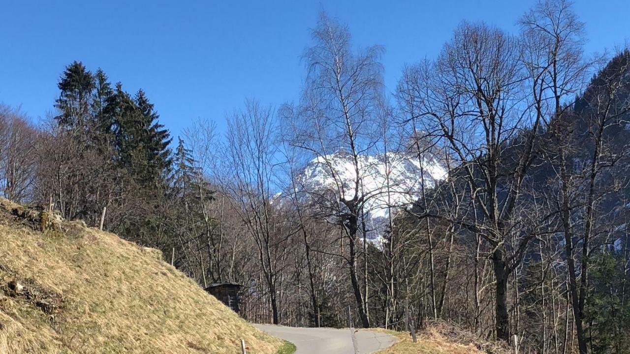 Chalet Carve - Apartments Eiger, Moench And Jungfrau Grindelwald Exterior photo