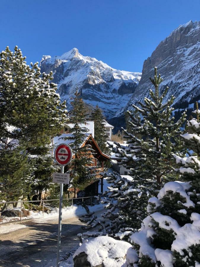 Chalet Carve - Apartments Eiger, Moench And Jungfrau Grindelwald Exterior photo