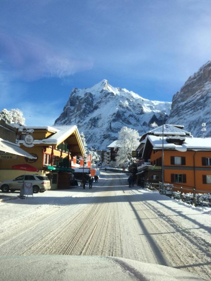 Chalet Carve - Apartments Eiger, Moench And Jungfrau Grindelwald Exterior photo