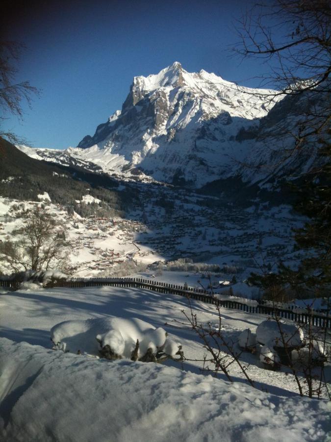 Chalet Carve - Apartments Eiger, Moench And Jungfrau Grindelwald Exterior photo